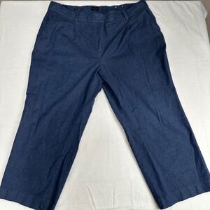 Talbot Bristol Pants Women's 22W Blue Crop Pleated Career Casual